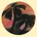 Tropical Birthday